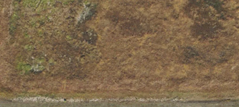 Nekoma, ND 58355