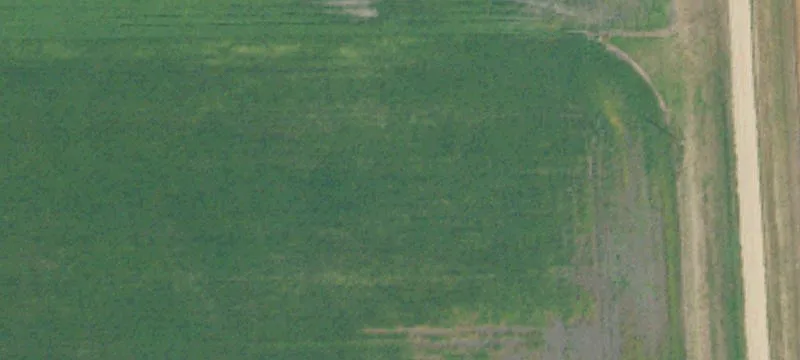 Bathgate, ND 58216