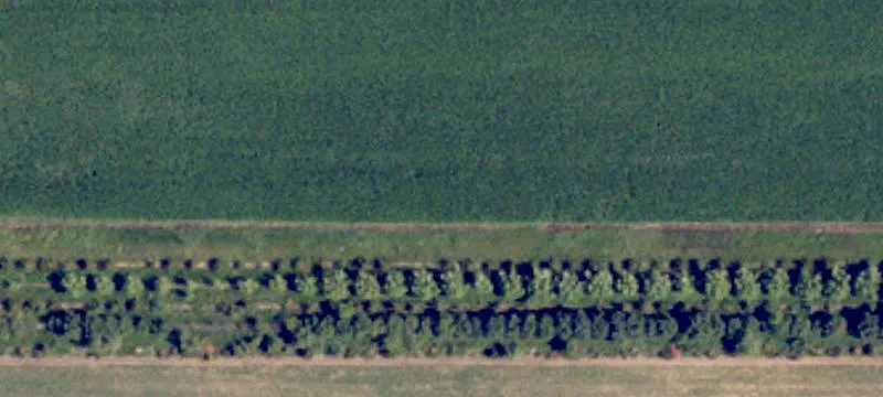 Cogswell, ND 58017