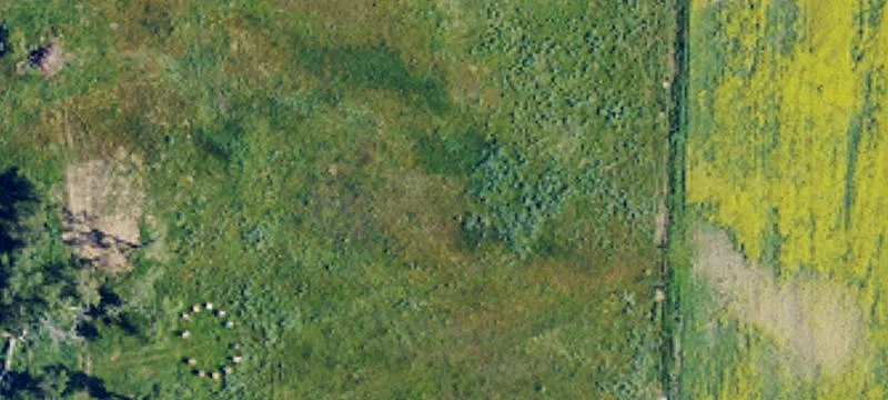 Lehr, ND 58460