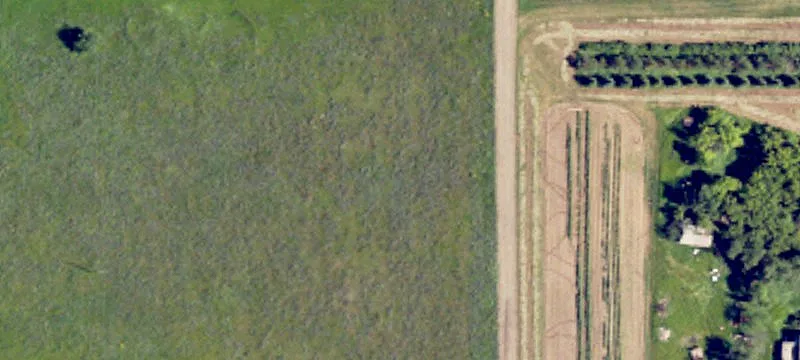 Taylor, ND 58656