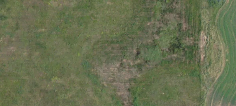 10063 Hwy 281