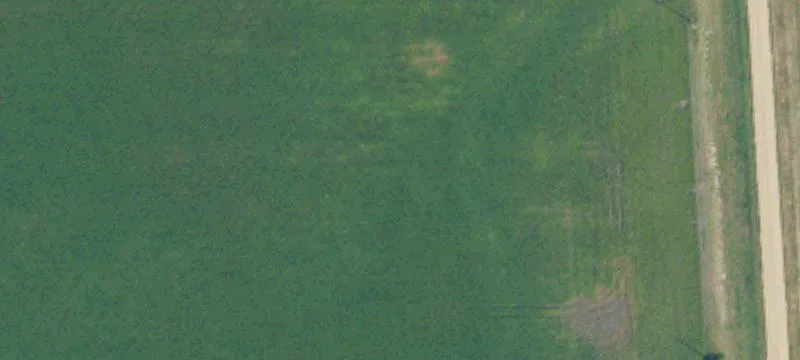 Bathgate, ND 58216