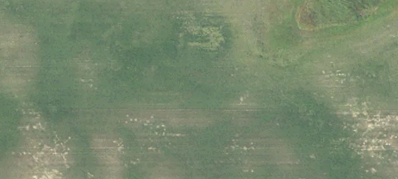 Tuttle, ND 58488