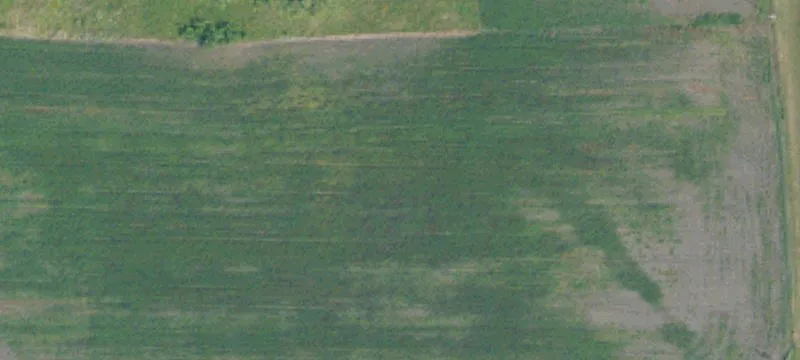 Bathgate, ND 58216