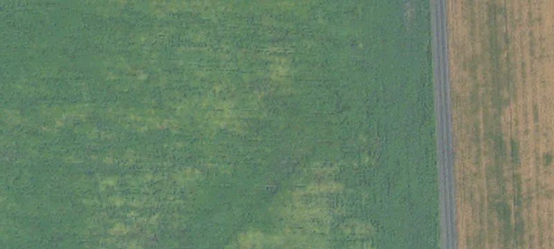 Bathgate, ND 58216