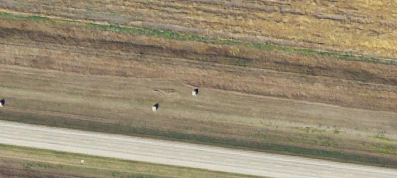 Grenora, ND 58845