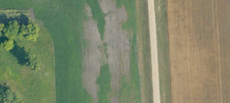 Bathgate, ND 58216
