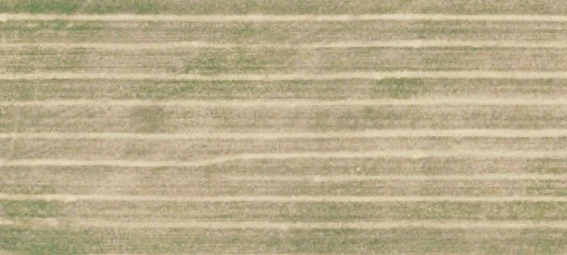 Esmond, ND 58332