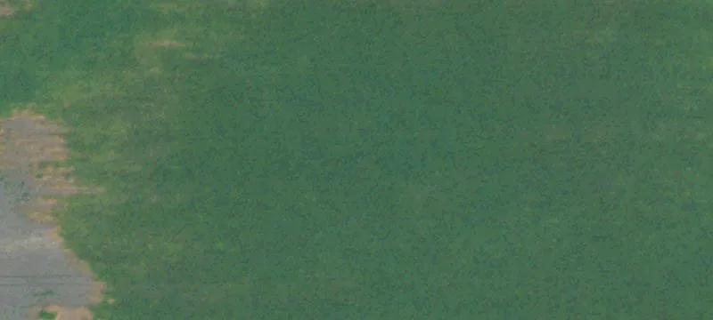 Bathgate, ND 58216