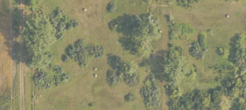 Bottineau, ND 58318