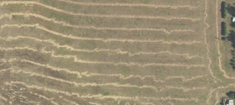 Dunn Center, ND 58626