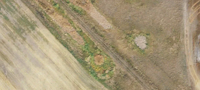 Edmore, ND 58330
