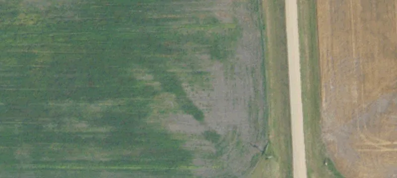 Bathgate, ND 58216
