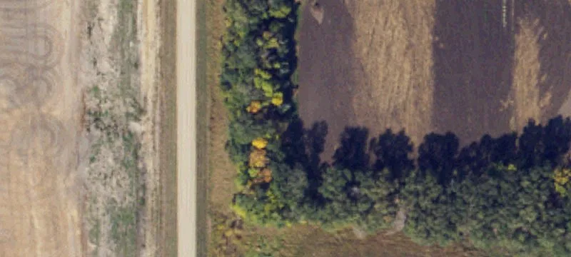 Reynolds, ND 58275