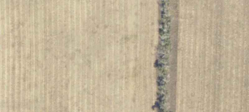 624 Hwy 1806th W