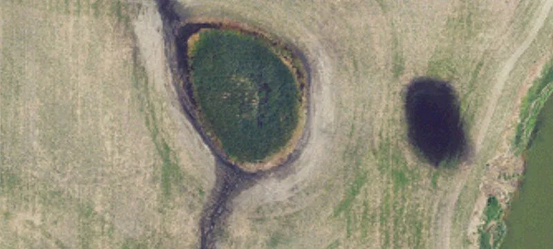 Pingree, ND 58476