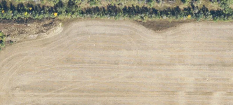 Alexander, ND 58831