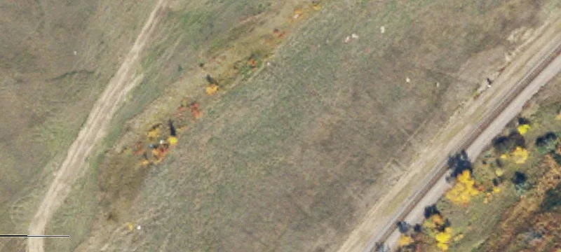 Williston, ND 58801