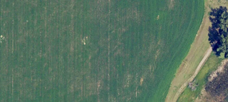 Surrey, ND 58785