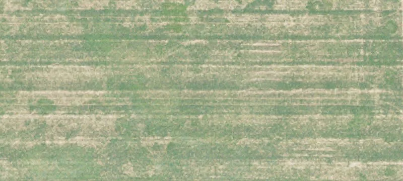 Brown Ave