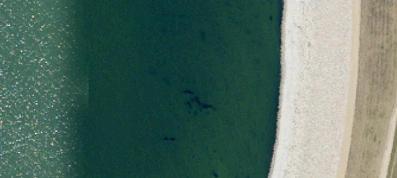 Devils Lake, ND 58301