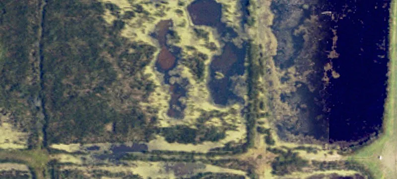 Cogswell, ND 58017