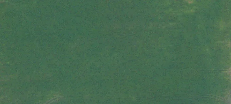 Bathgate, ND 58216