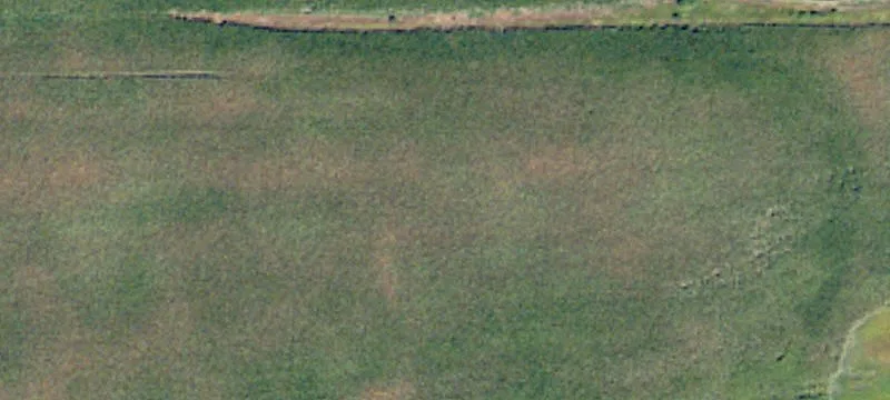 Cayuga, ND 58013