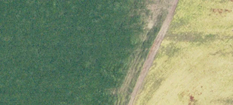 Cogswell, ND 58017