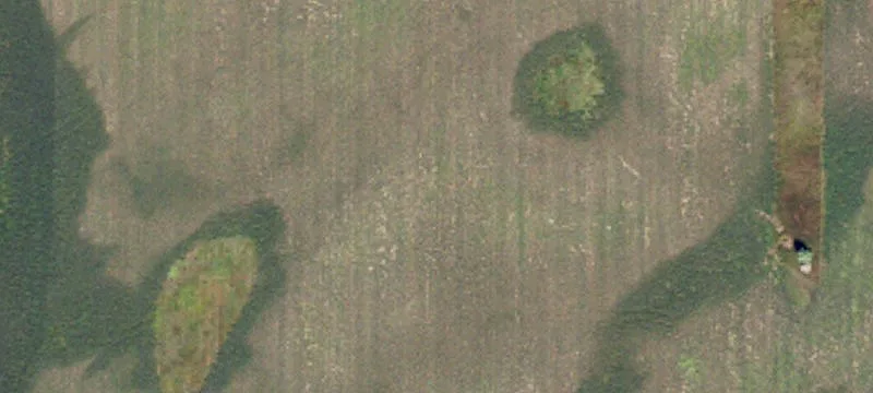 Mcgregor, ND 58755