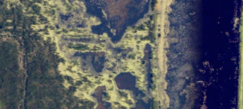 Cogswell, ND 58017