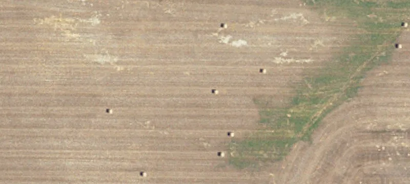 Dodge, ND 58625