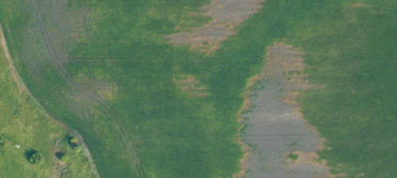 Bathgate, ND 58216