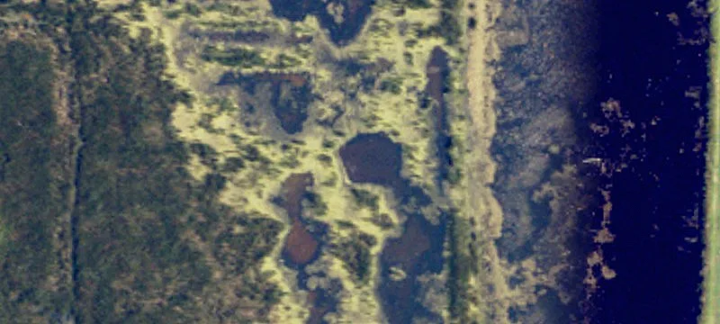 Cogswell, ND 58017