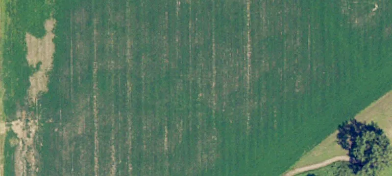 Surrey, ND 58785