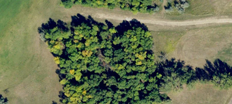 Devils Lake, ND 58301