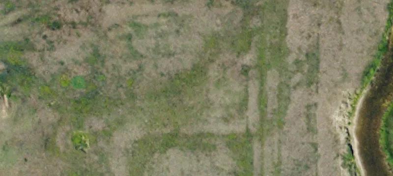 Almont, ND 58520
