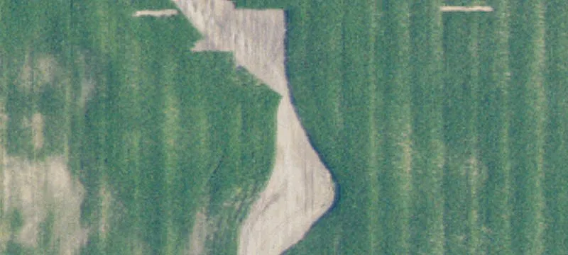 Esmond, ND 58332