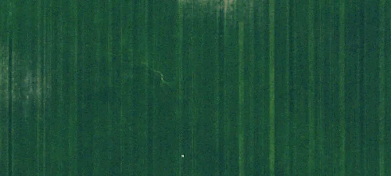 Sterling, ND 58572