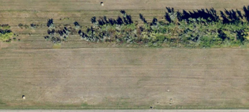 Devils Lake, ND 58301
