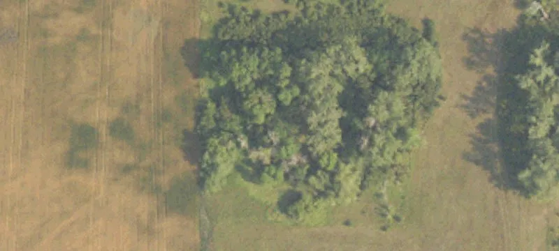 Bottineau, ND 58318