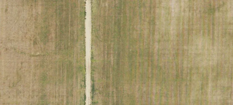 Tioga, ND 58852