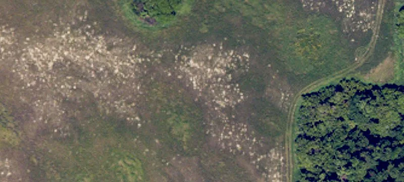 Minnewaukan, ND 58351