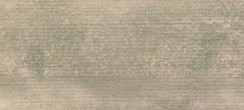 Durum Triangle Frontage Rd
