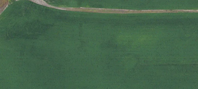 Wimbledon, ND 58492