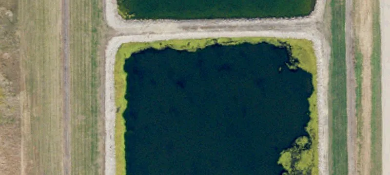 Manvel, ND 58256