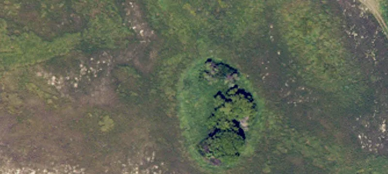 Minnewaukan, ND 58351