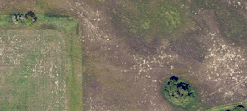 Minnewaukan, ND 58351