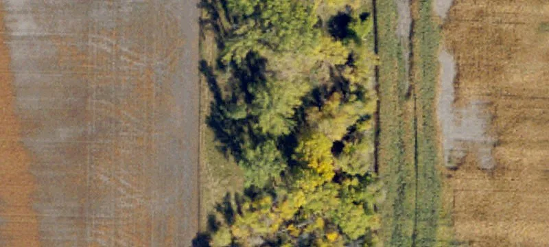 Manvel, ND 58256